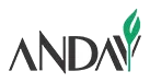 Andav